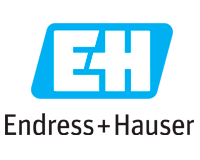 Endress+Hauser